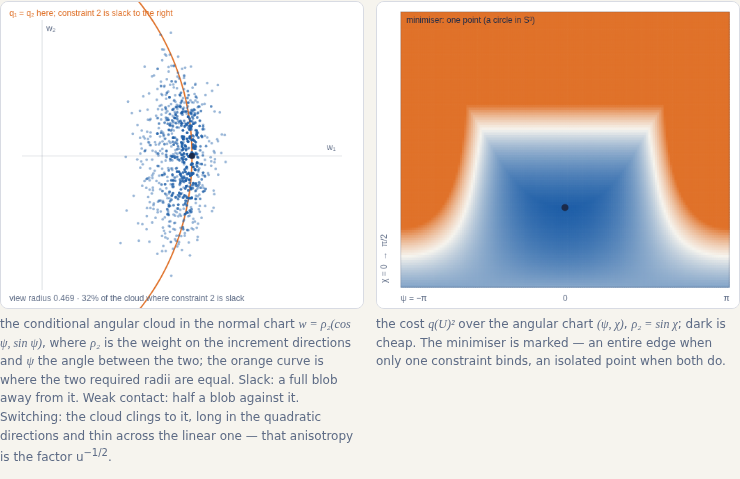 Conditional angular cloud for two homogeneous constraints